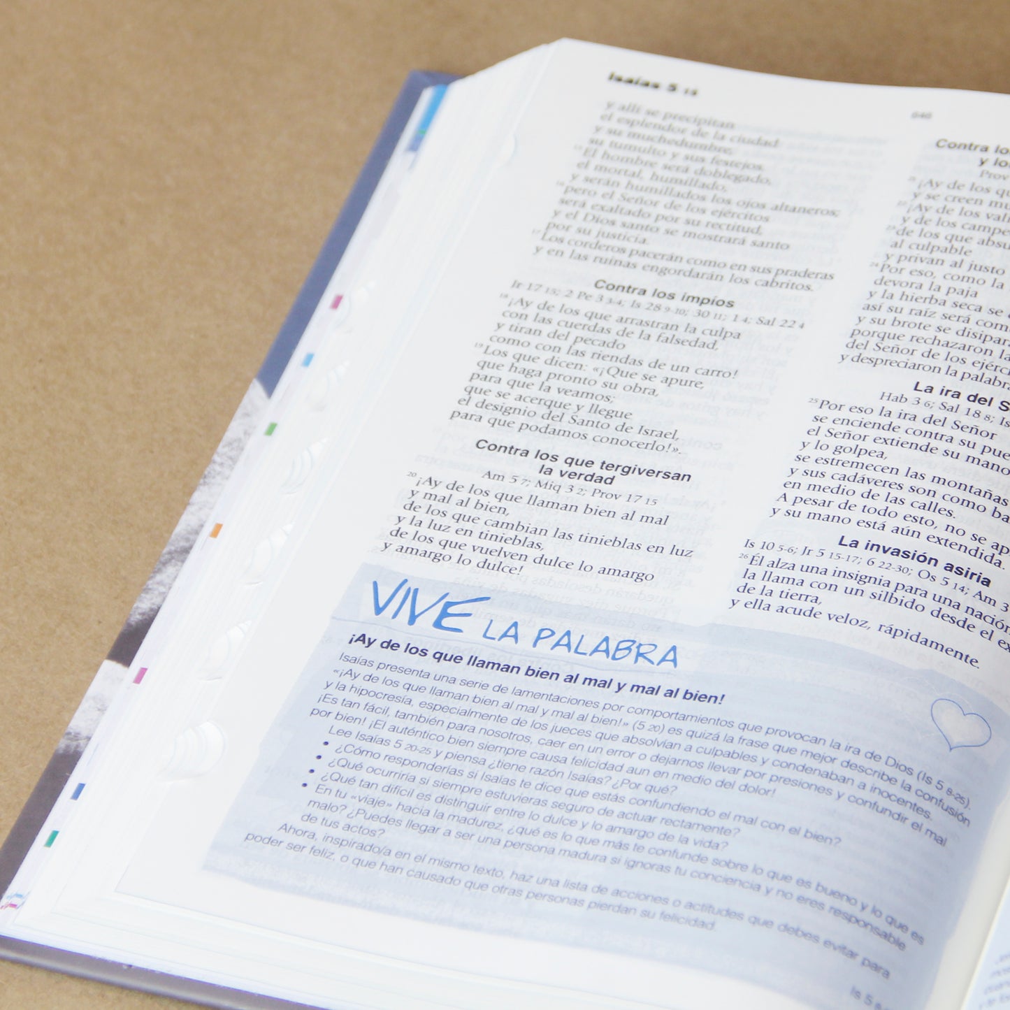 Biblia Católica Para Jóvenes con Ilustración "Montañas"