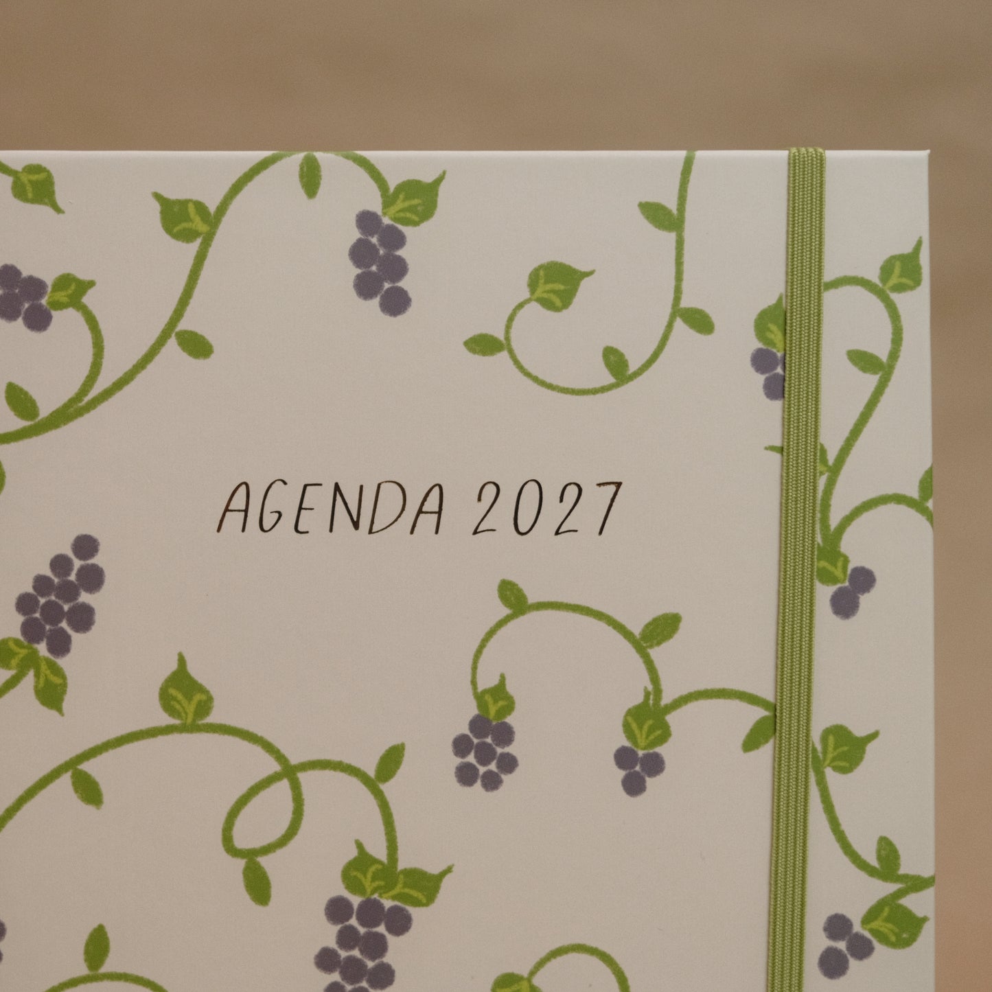 Agenda 2027 "Vid Verdadera"