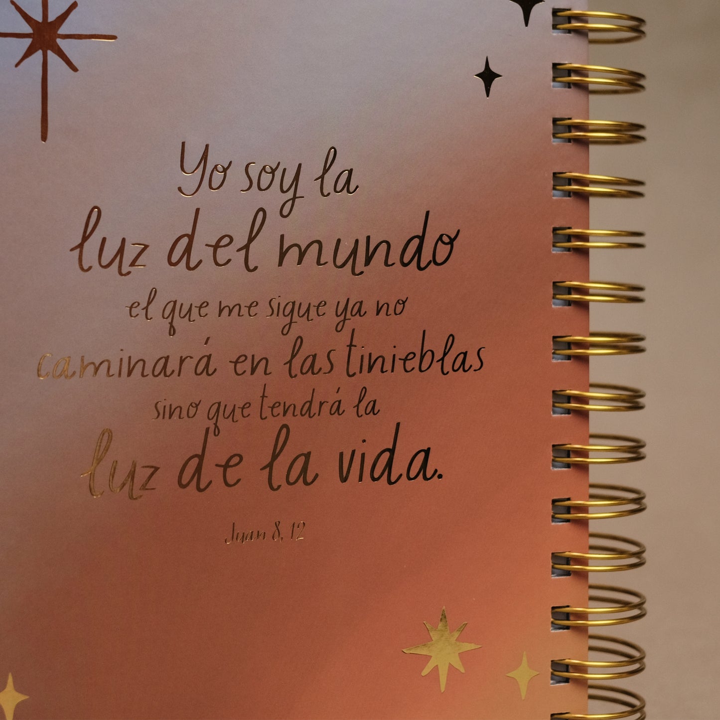Agenda 2027 "Luz Del Mundo"