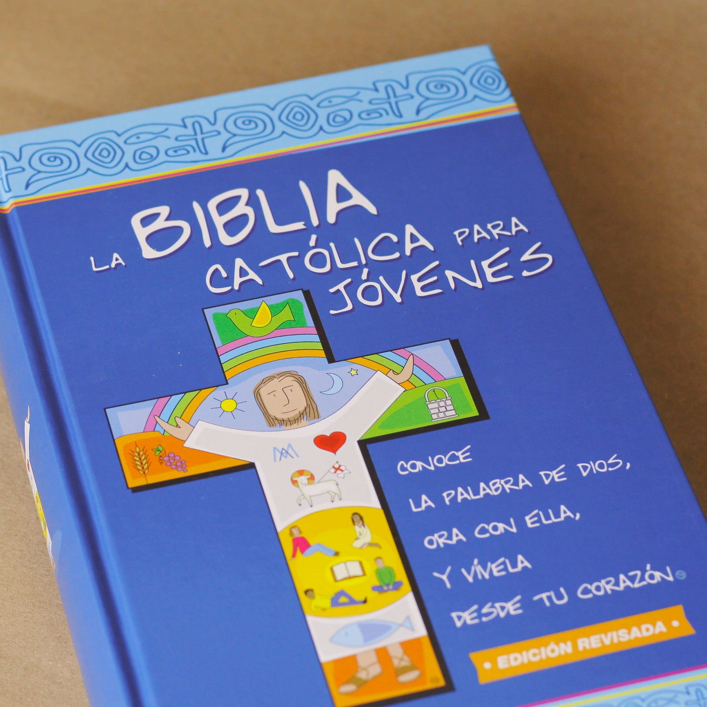 Biblia Católica Para Jóvenes Grande